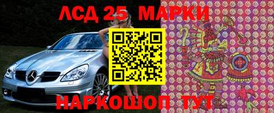 СК Кингисепп