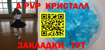 СК Кингисепп