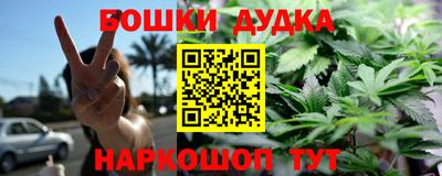 СК Кингисепп