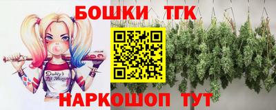 СК Кингисепп