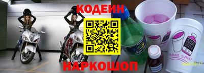 СК Кингисепп