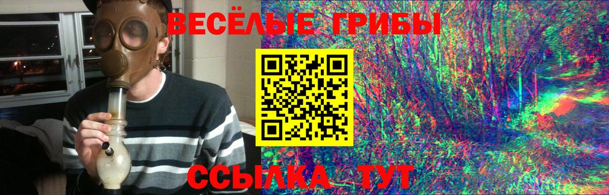 Псилоцибиновые грибы MAGIC MUSHROOMS Учалы