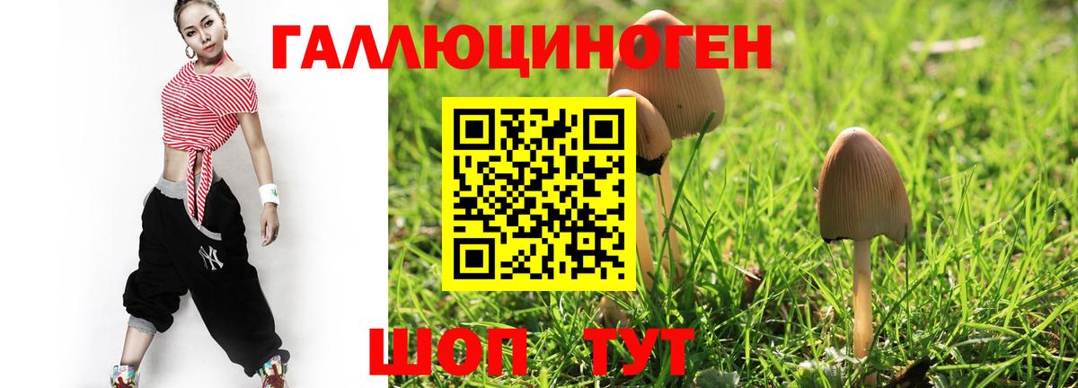 Галлюциногенные грибы ЛСД  Вход с VPN  что такое   Учалы  Галлюциногенные грибы прущие грибы 